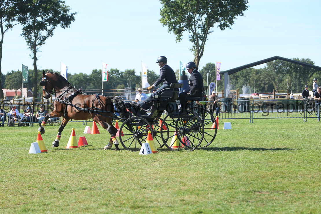  WM 1sp Horses