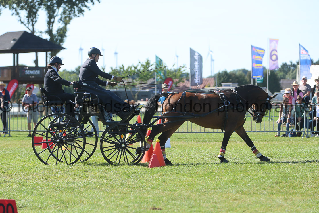  WM 1sp Horses