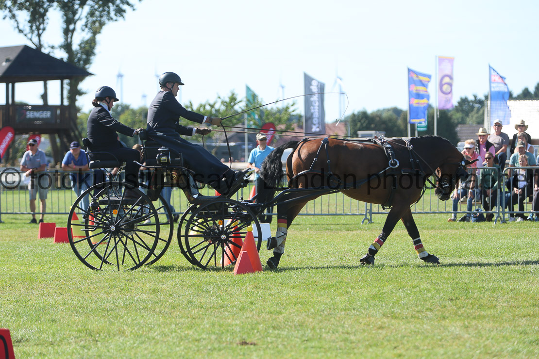  WM 1sp Horses