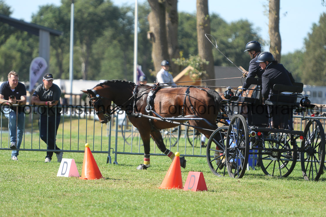  WM 1sp Horses