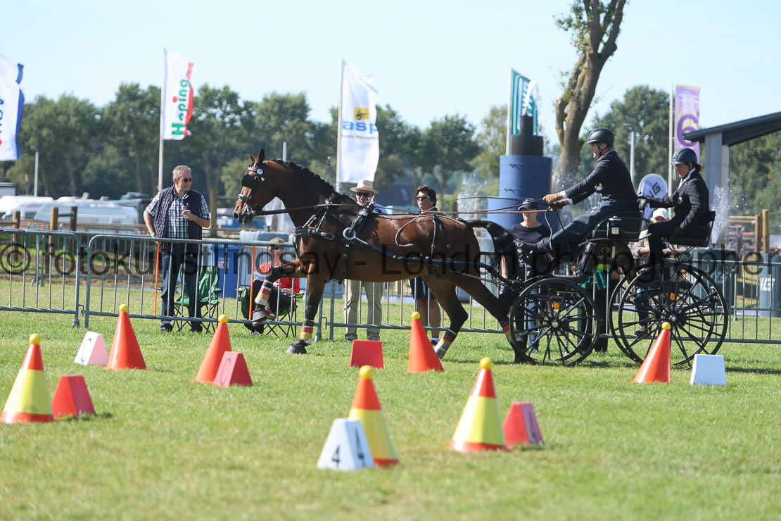  WM 1sp Horses