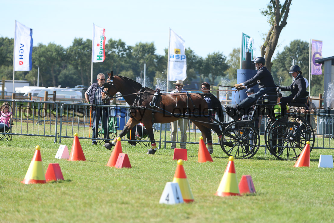  WM 1sp Horses