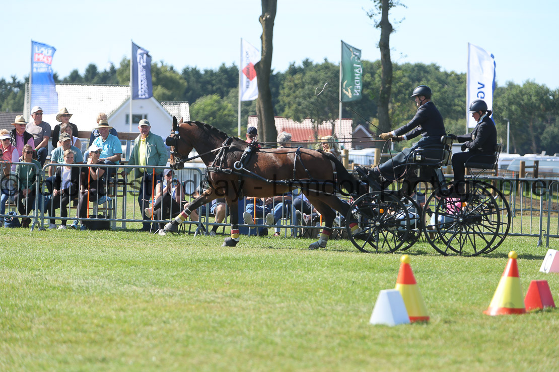  WM 1sp Horses
