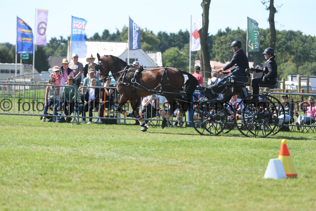  WM 1sp Horses