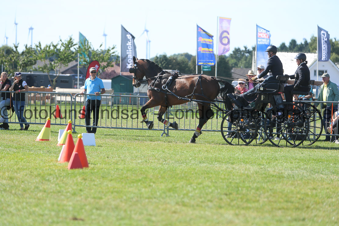  WM 1sp Horses