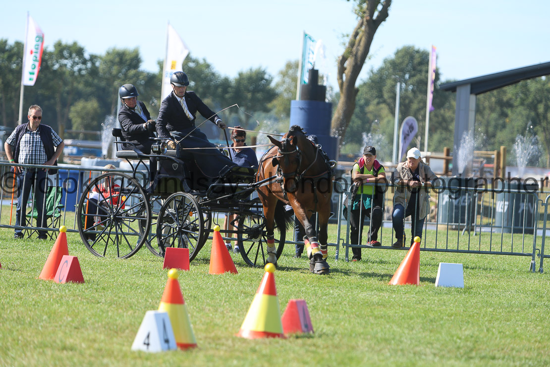  WM 1sp Horses