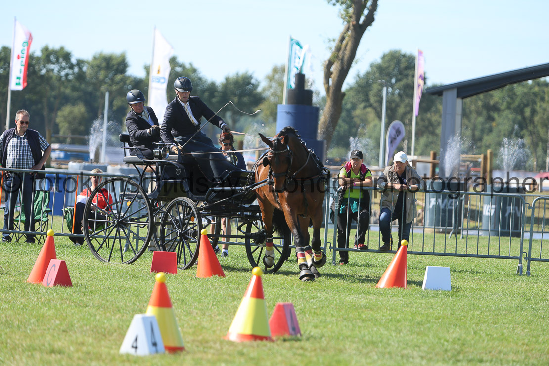  WM 1sp Horses