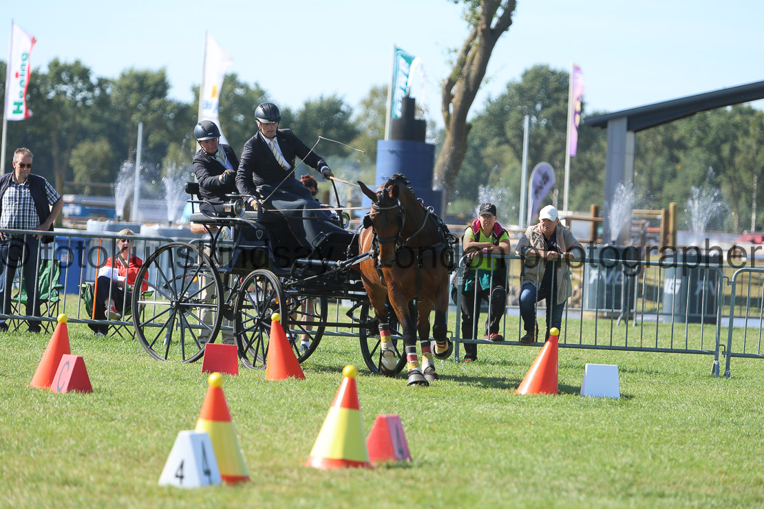  WM 1sp Horses