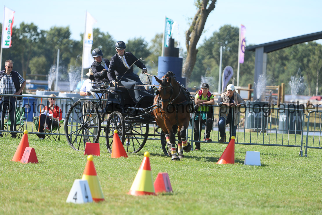  WM 1sp Horses