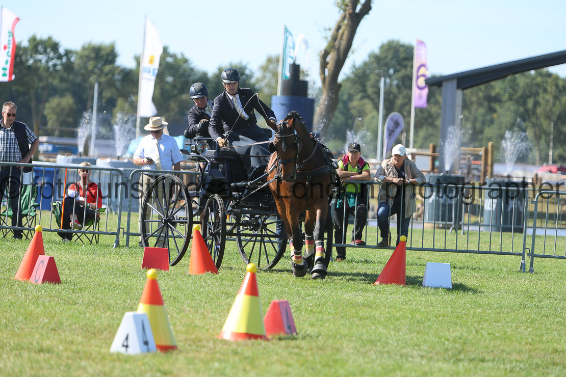  WM 1sp Horses
