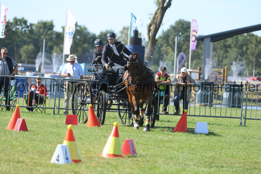  WM 1sp Horses