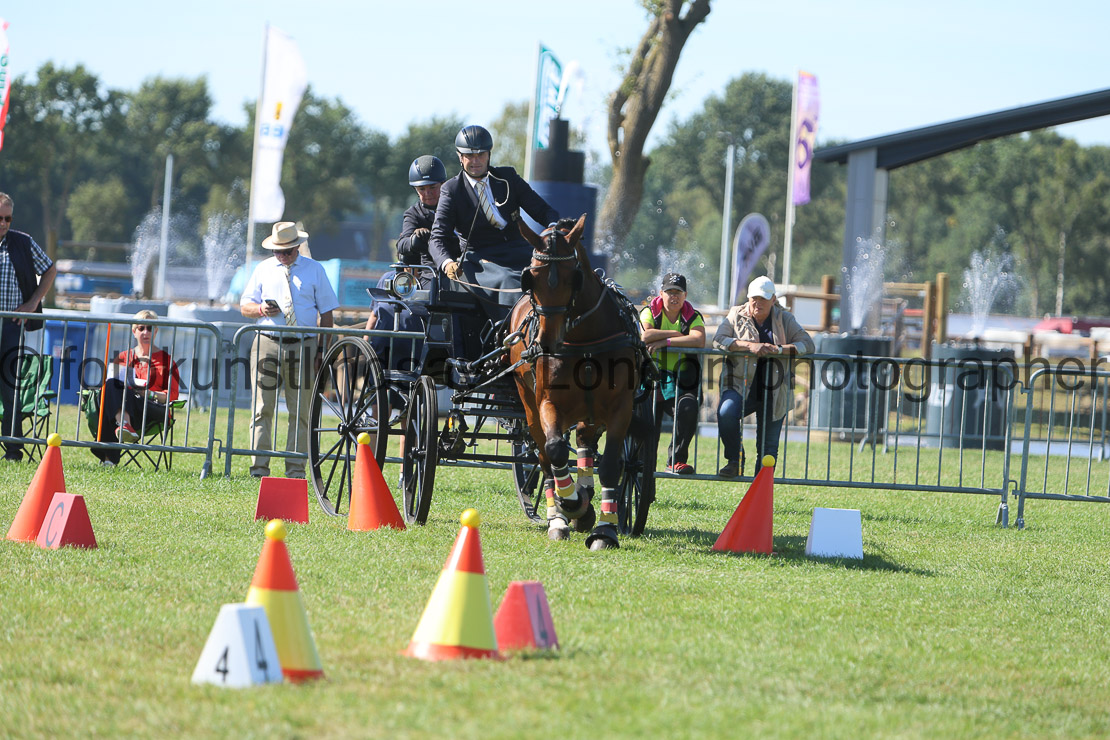  WM 1sp Horses