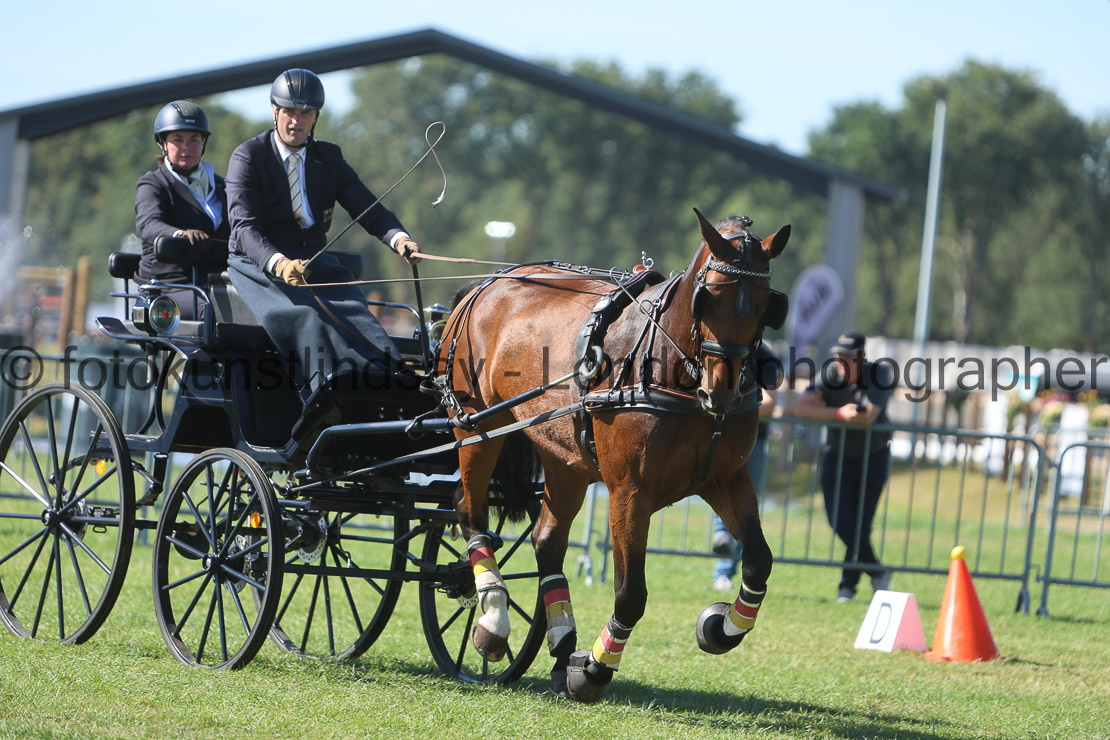  WM 1sp Horses