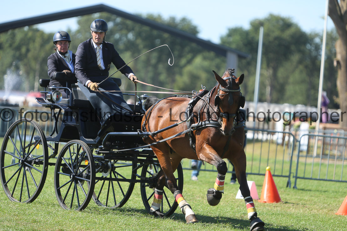 WM 1sp Horses