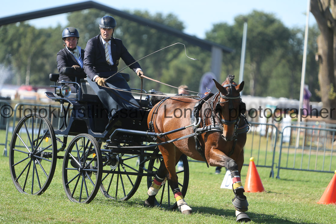  WM 1sp Horses