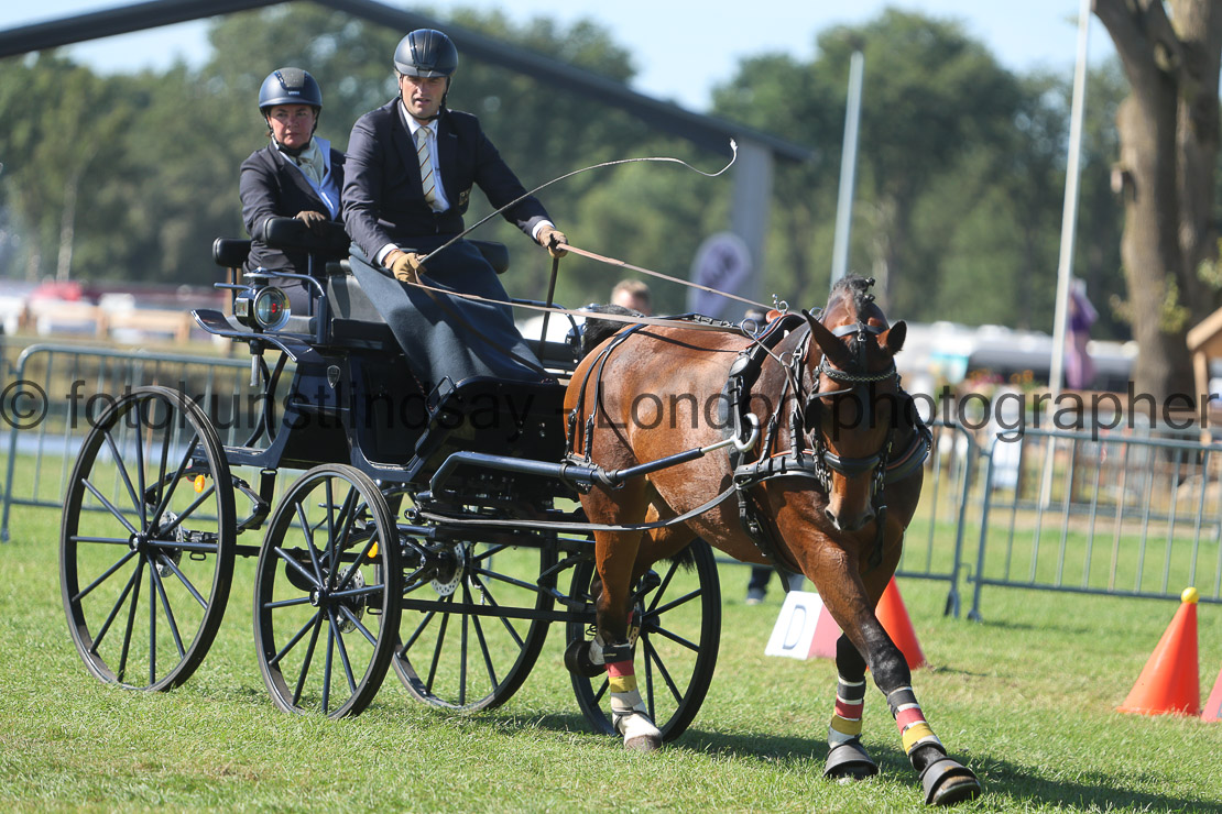  WM 1sp Horses