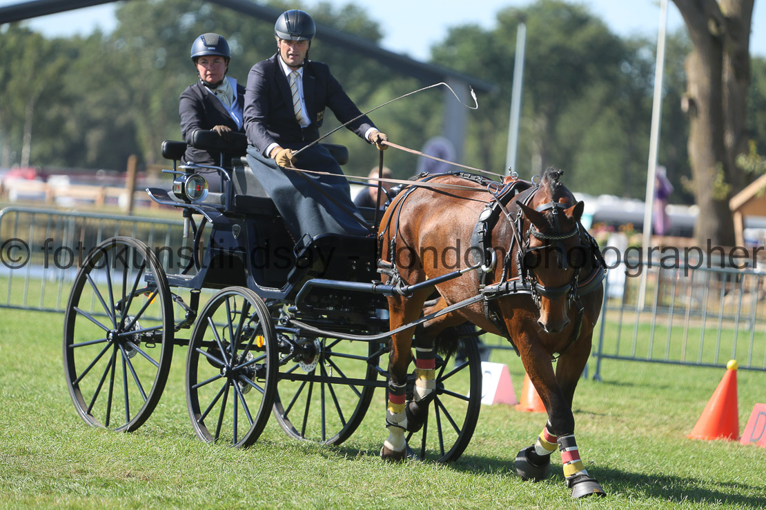  WM 1sp Horses