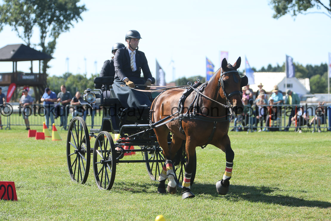  WM 1sp Horses