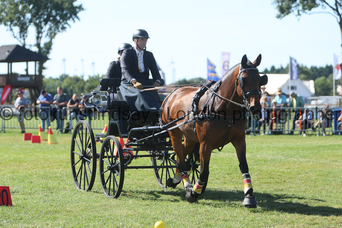  WM 1sp Horses