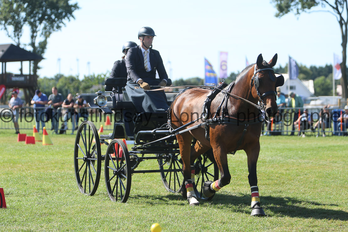  WM 1sp Horses
