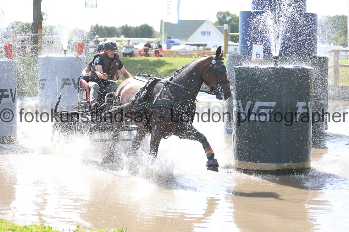  WM 1sp Horses