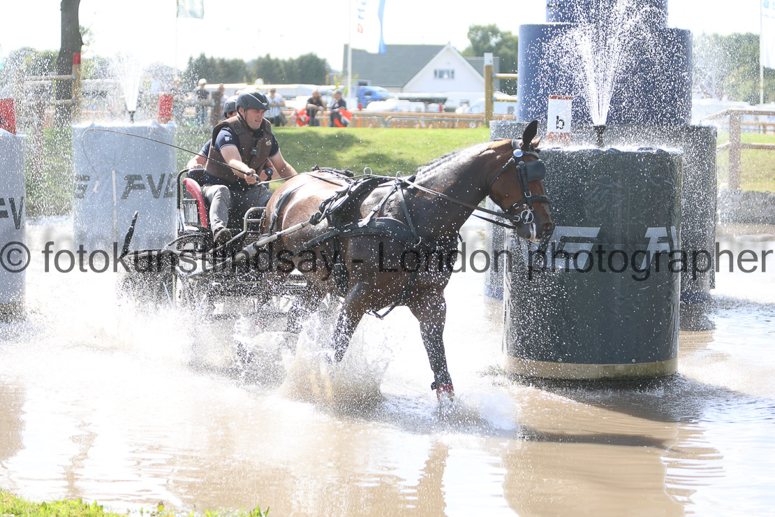  WM 1sp Horses