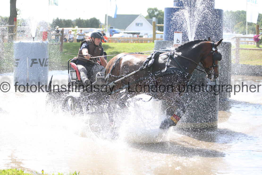  WM 1sp Horses