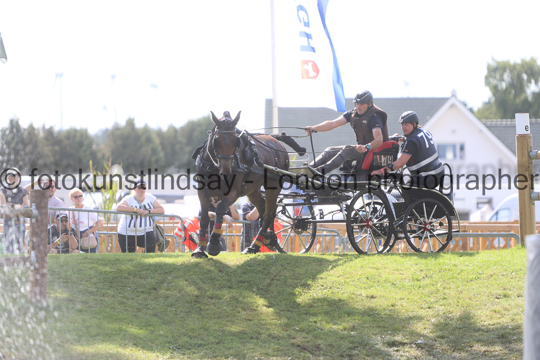  WM 1sp Horses