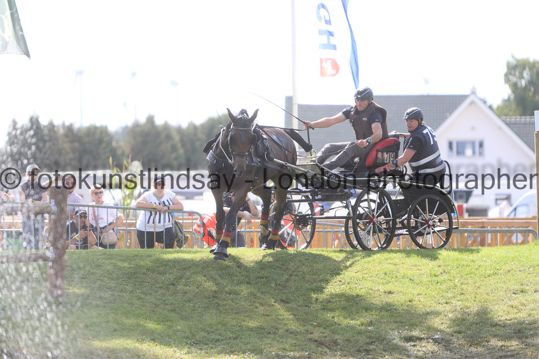  WM 1sp Horses