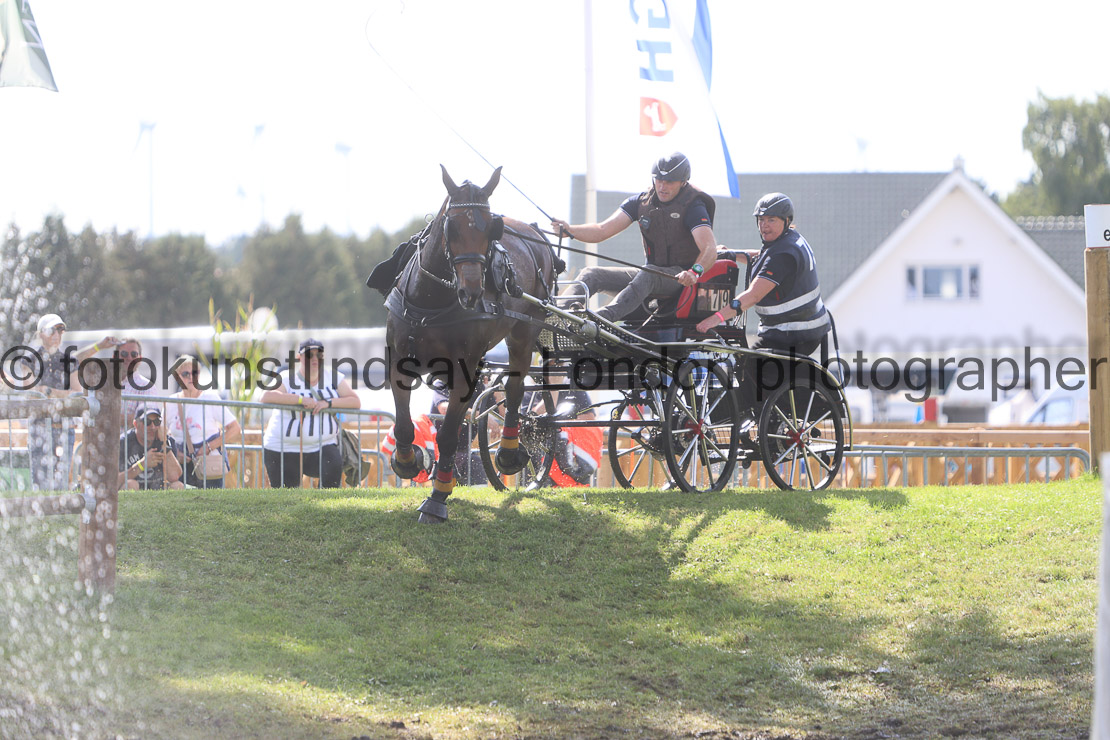  WM 1sp Horses