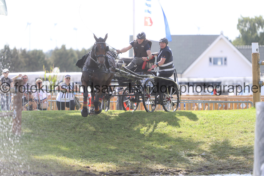  WM 1sp Horses