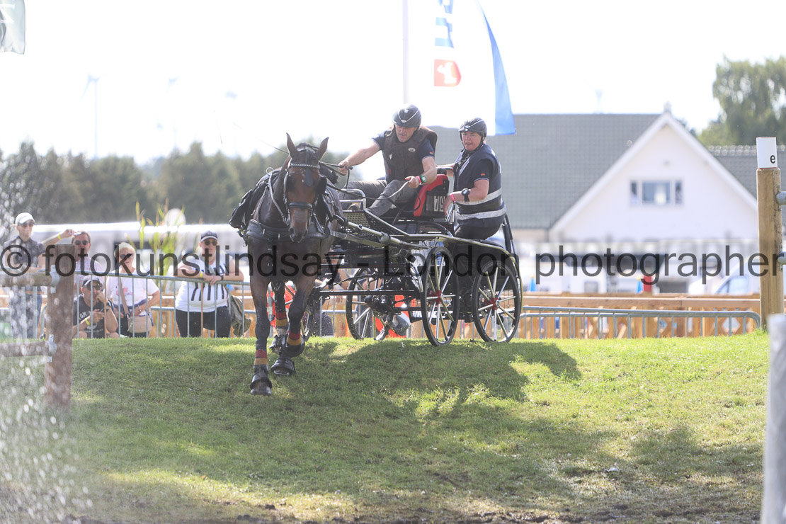 WM 1sp Horses