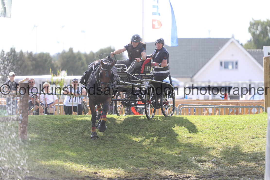  WM 1sp Horses