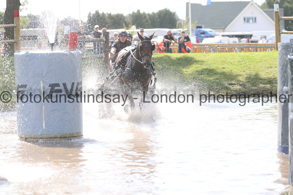  WM 1sp Horses