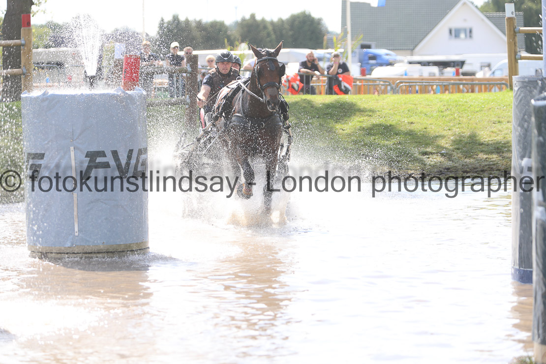  WM 1sp Horses
