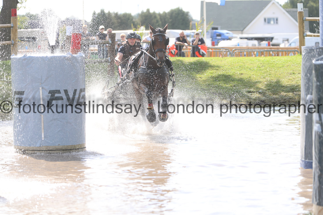  WM 1sp Horses