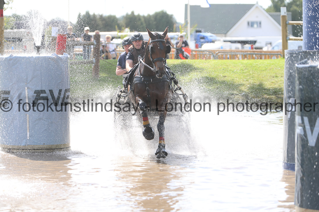  WM 1sp Horses