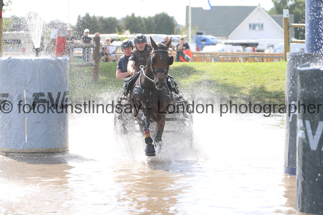  WM 1sp Horses