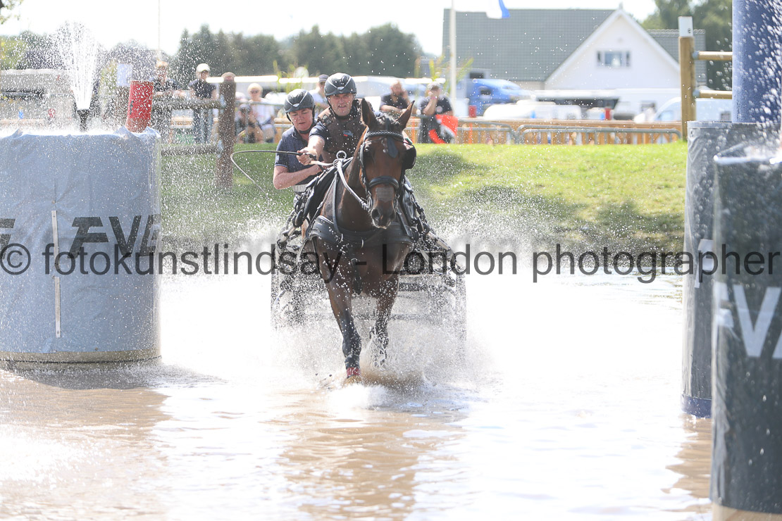  WM 1sp Horses
