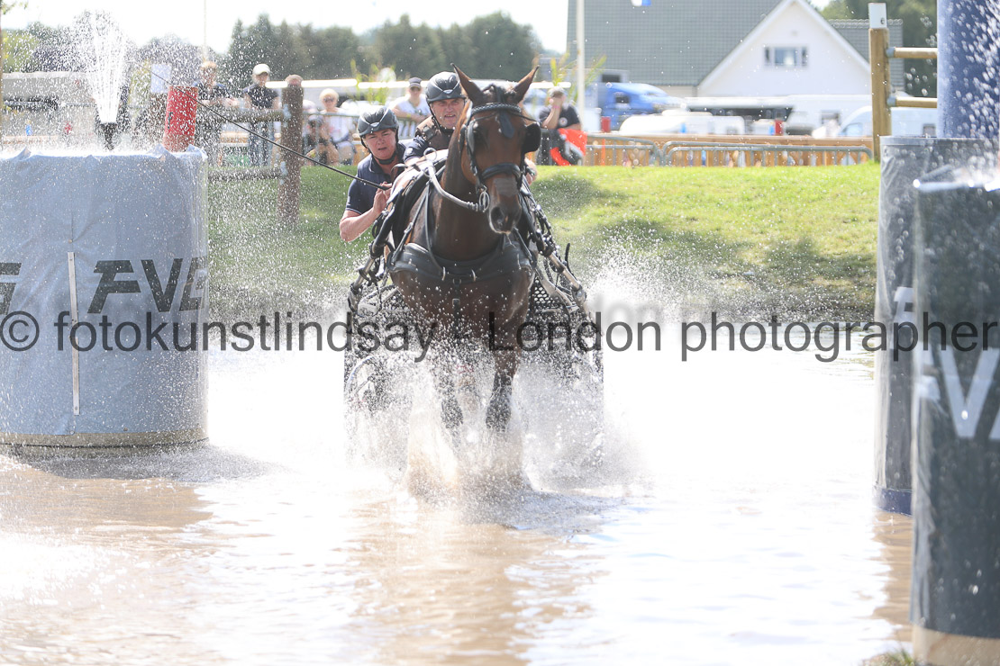  WM 1sp Horses