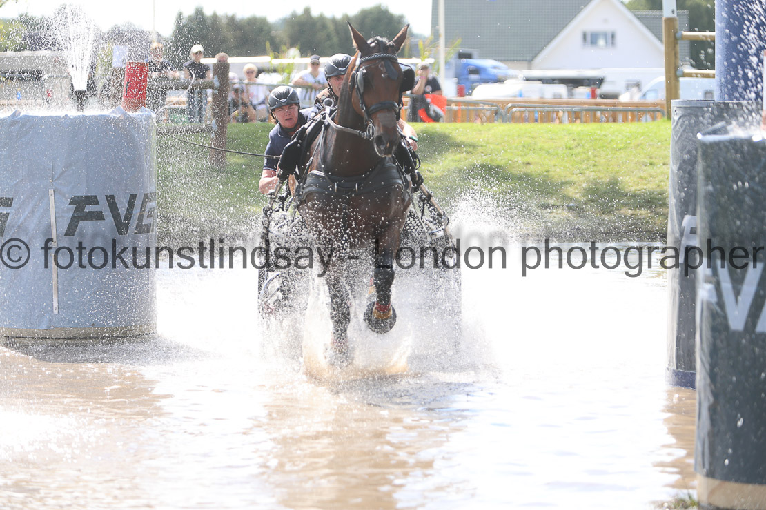 WM 1sp Horses
