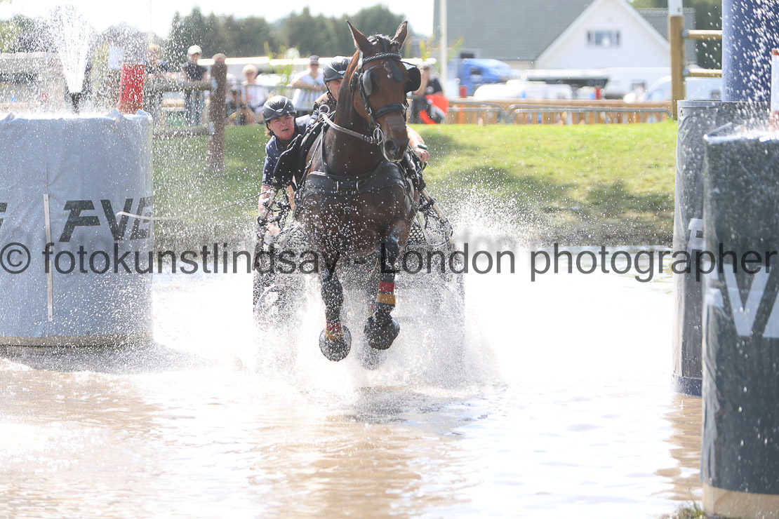  WM 1sp Horses