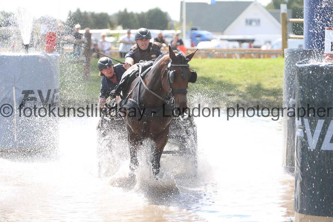  WM 1sp Horses