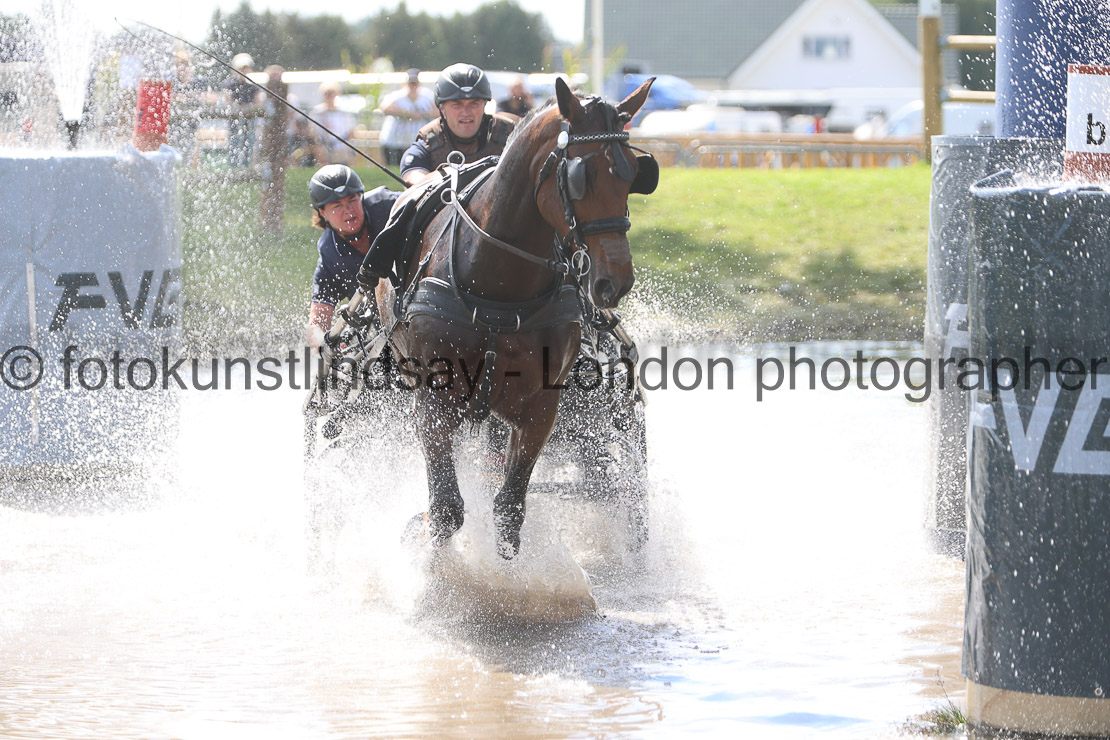  WM 1sp Horses