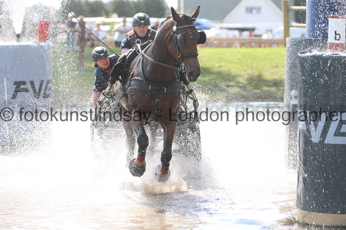  WM 1sp Horses