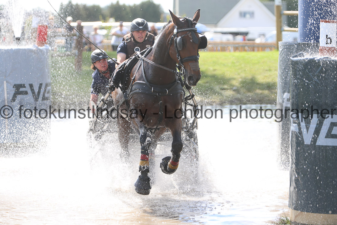  WM 1sp Horses
