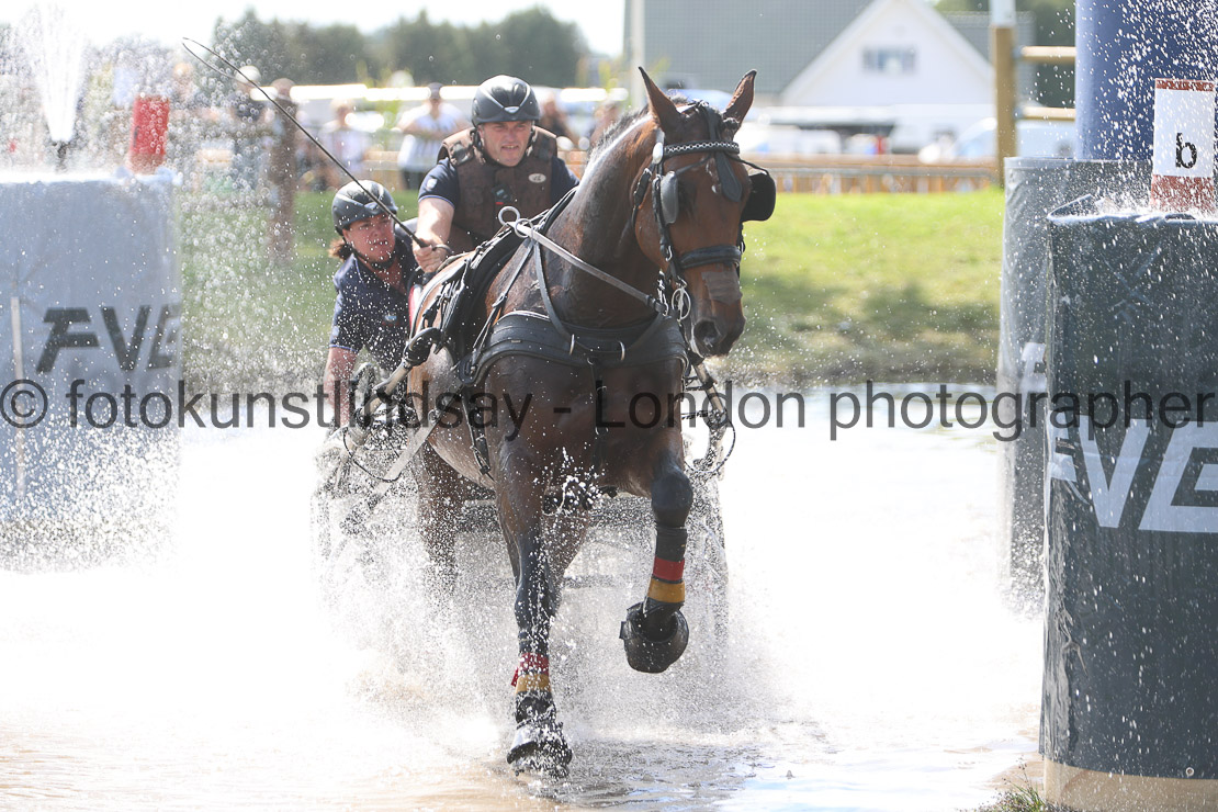  WM 1sp Horses