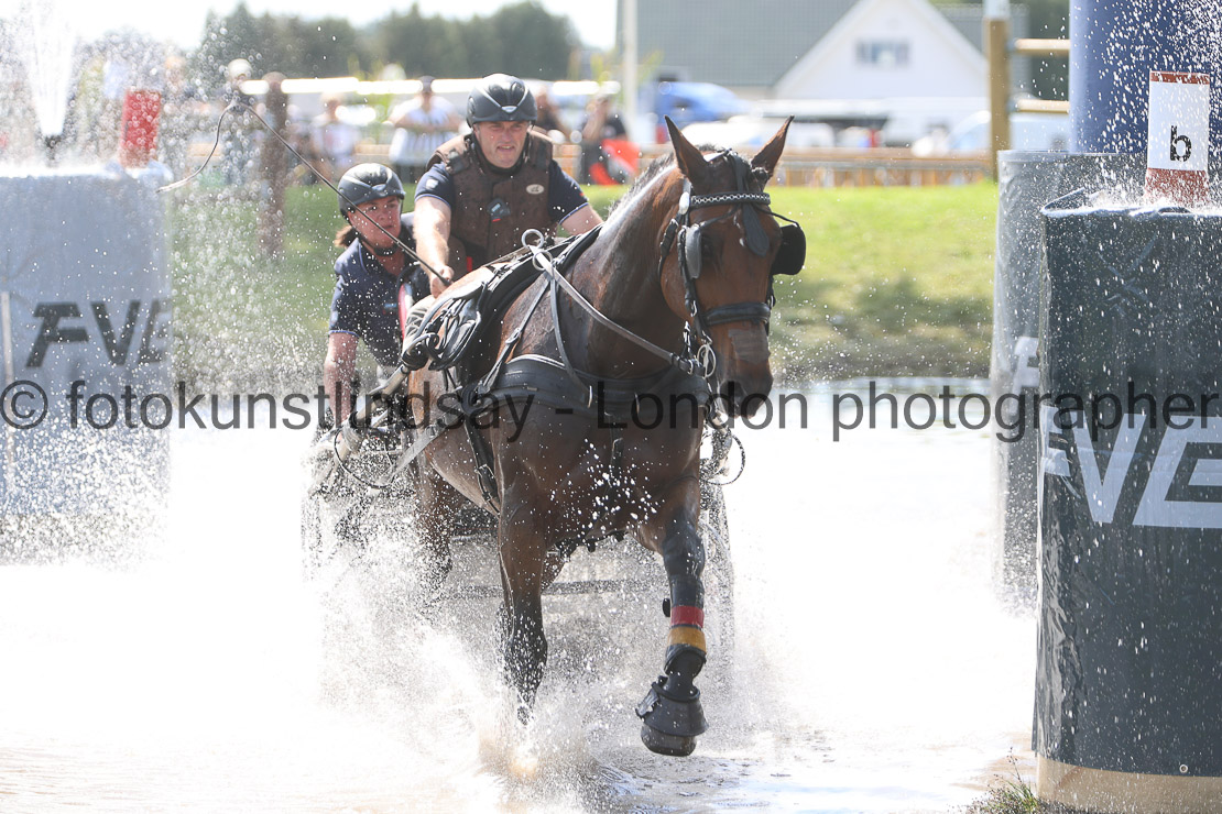  WM 1sp Horses