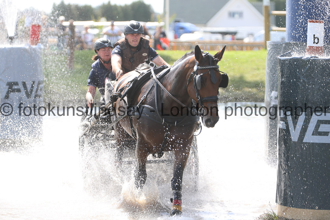  WM 1sp Horses