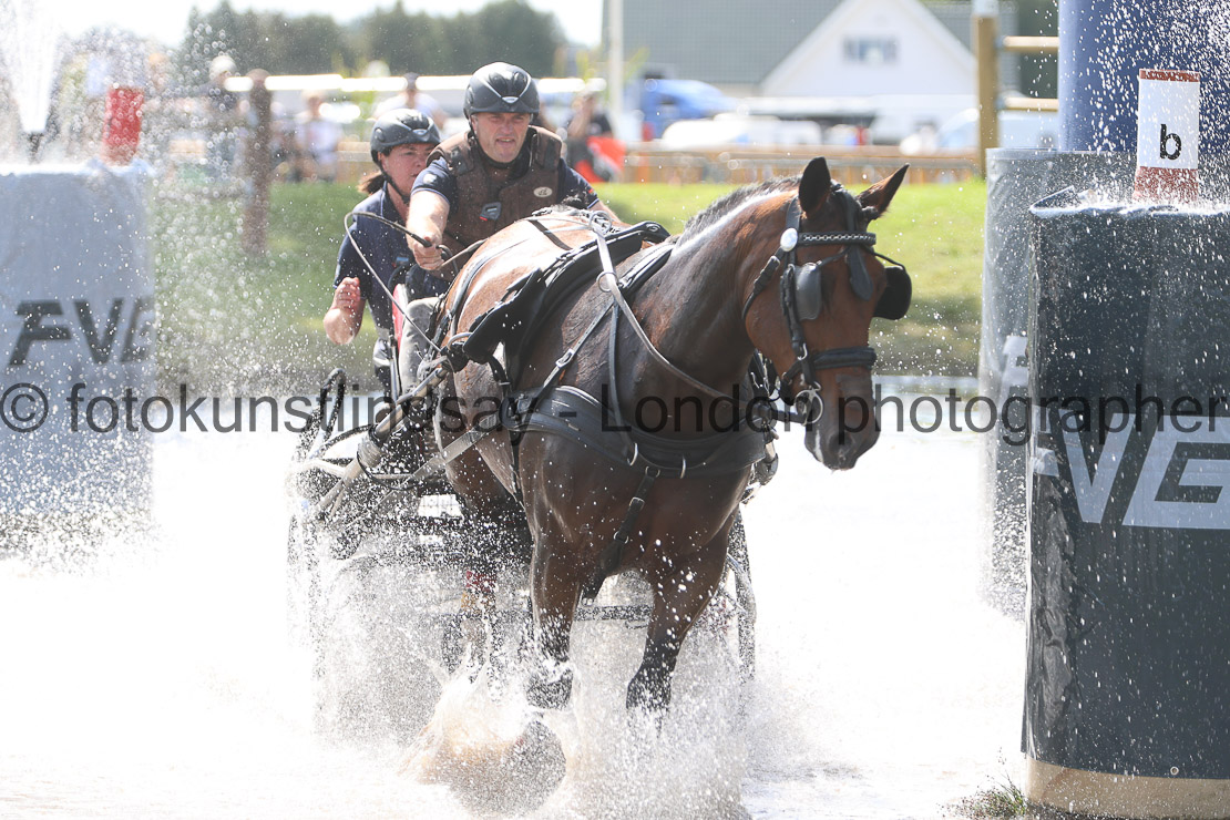  WM 1sp Horses
